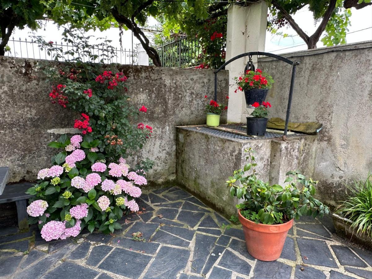 O Toxal Villa Monforte De Lemos Exterior foto