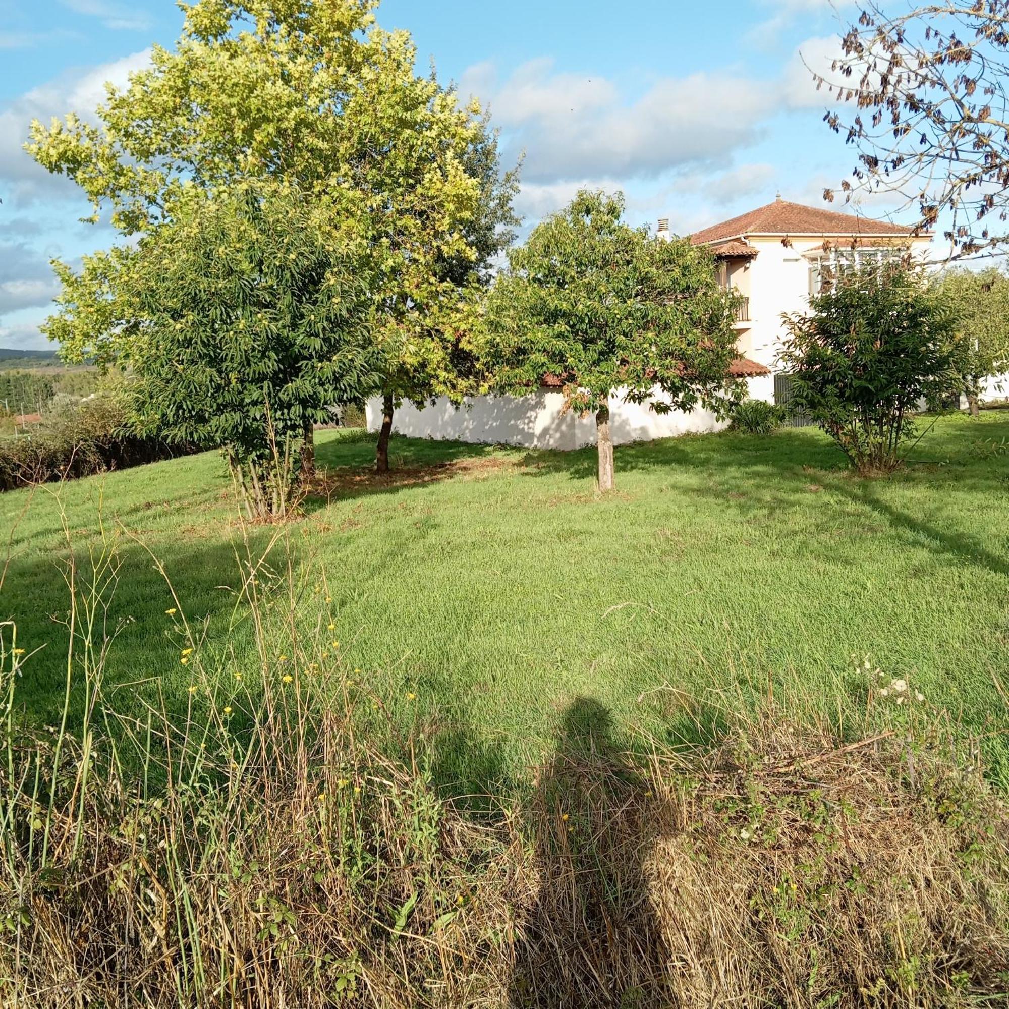 O Toxal Villa Monforte De Lemos Exterior foto